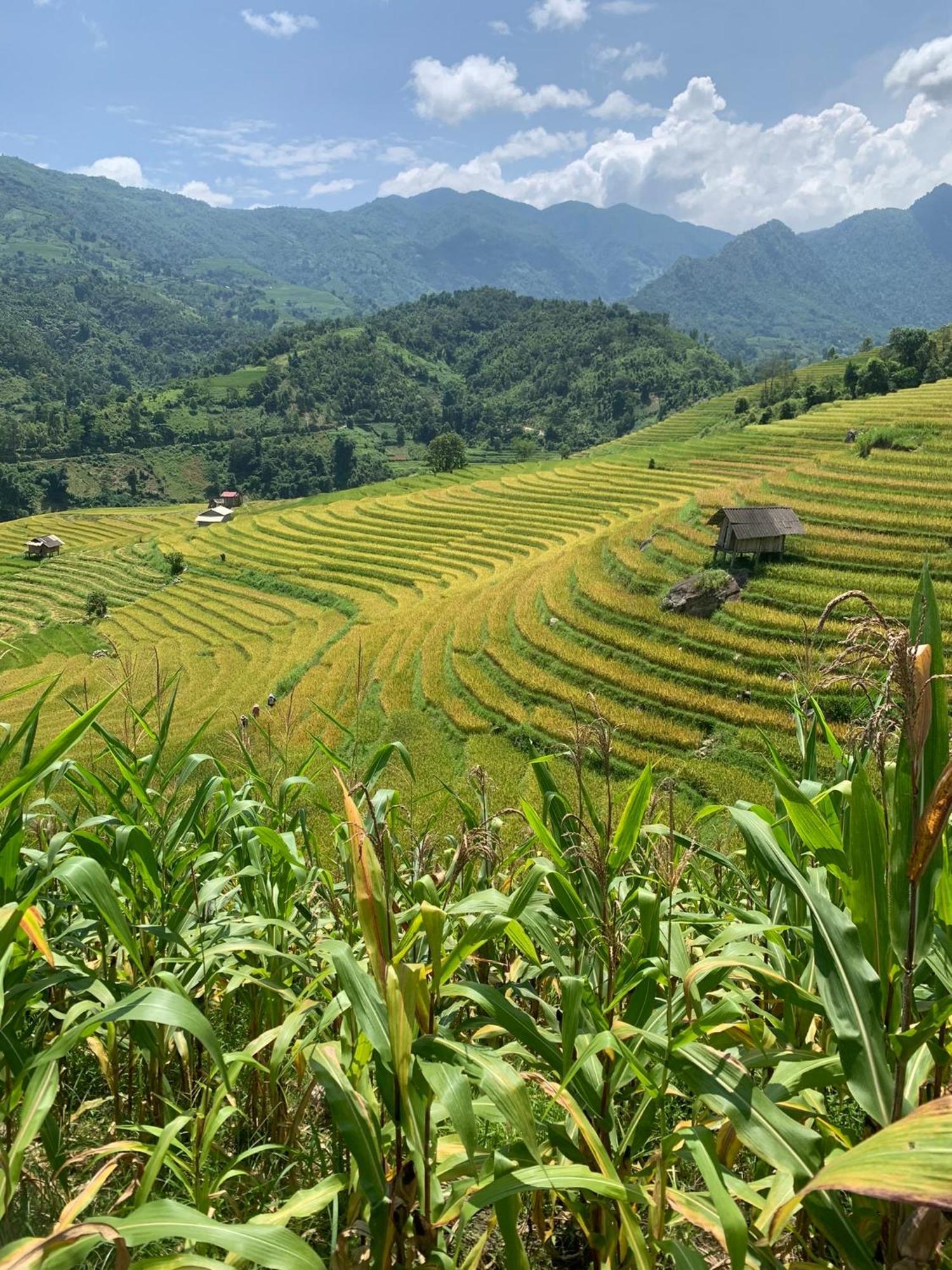 The Zen House Sapa Apartman Kültér fotó